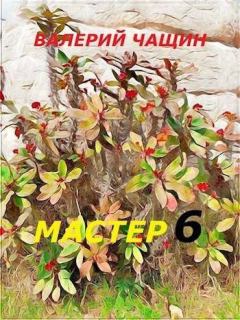 Книга - Мастер 6. Валерий Чащин - прочитать в Литвек