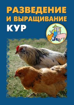 Книга - Разведение и выращивание кур. Илья Мельников - читать в Литвек