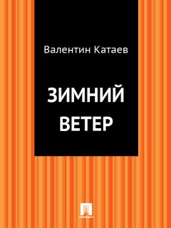 Обложка книги - Зимний ветер - Валентин Петрович Катаев