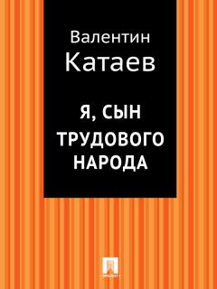 Книга - Я, сын трудового народа. Валентин Петрович Катаев - прочитать в Литвек