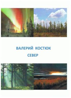 Книга - Север (СИ). Валерий Григорьевич Костюк - читать в Литвек