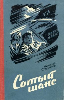 Книга - Сотый шанс. Николай Андреевич Стуриков - читать в Литвек
