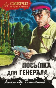 Книга - Посылка для генерала. Александр Александрович Тамоников - читать в Литвек