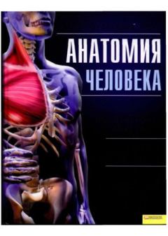 Книга - Анатомия человека. Иллюстрированный атлас.  Коллектив авторов - читать в Литвек