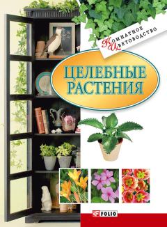 Книга - Целебные растения. Татьяна Николаевна Дорошенко - читать в Литвек