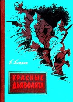 Книга - Красные дьяволята. Павел Андреевич Бляхин - читать в Литвек