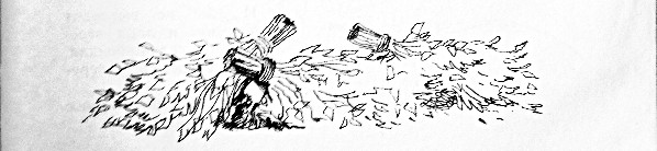 Сказки, найденные в траве. Иллюстрация № 42