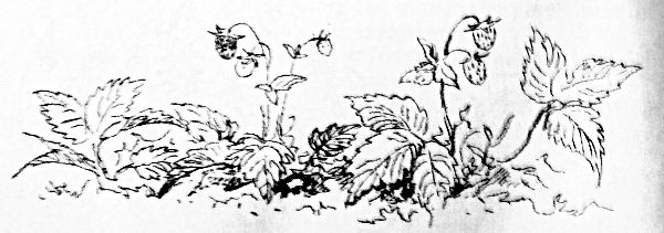 Сказки, найденные в траве. Иллюстрация № 56