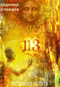 Аудиокнига - 113 – Инструкция на пути к истинному благополучию и просветлению. Владимир Валерьевич Полежаев - слушать в Литвек