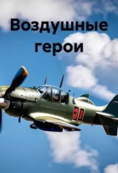 Аудиокнига - Воздушные герои. Владимир Баринов - слушать в Литвек