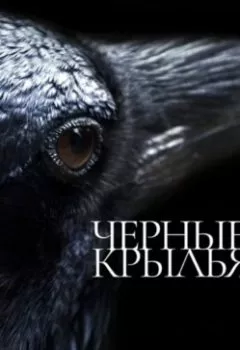 Аудиокнига - Черные крылья. Лери Пэн - слушать в Литвек