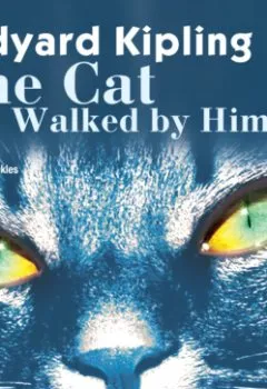 Аудиокнига - The Cat that Walked by Himself. Редьярд Джозеф Киплинг - слушать в Литвек