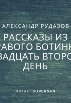 Аудиокнига - Двадцать второй день. Александр Рудазов - слушать в Литвек