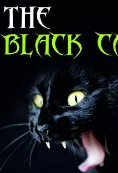 Обложка книги - The Black Cat - Эдгар Аллан По