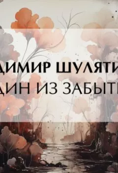 Аудиокнига - Один из забытых. Владимир Михайлович Шулятиков - слушать в Литвек