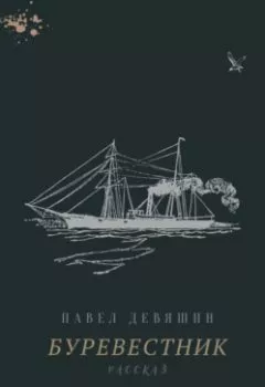 Обложка книги - Буревестник - Павел Николаевич Девяшин