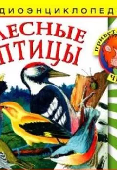 Обложка книги - Лесные птицы - Детское издательство Елена