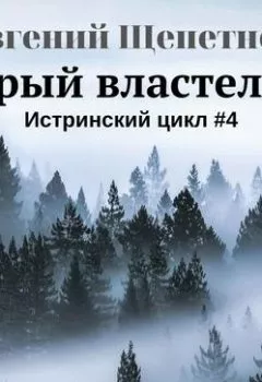 Обложка книги - Серый властелин - Евгений Щепетнов