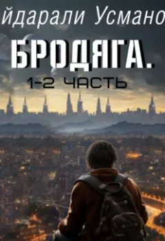 Аудиокнига - Бродяга. Сборник 1 – 2 часть. Хайдарали Усманов - слушать в Литвек