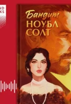 Аудиокнига - Бандит Ноубл Солт. Эми Хармон - слушать в Литвек