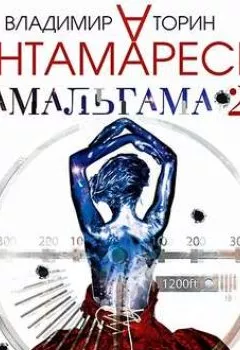 Обложка книги - Амальгама 2. Тантамареска - Владимир Торин