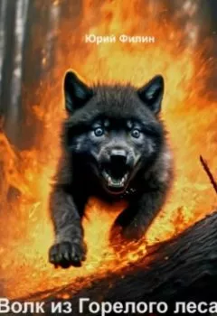 Аудиокнига - Волк из Горелого леса. Юрий Филин - слушать в Литвек