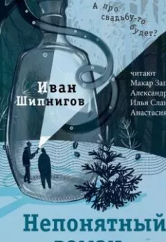 Обложка книги - Непонятный роман - Иван Шипнигов