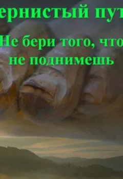 Обложка книги - Тернистый путь. Не бери того, что не поднимешь - Хайдарали Усманов