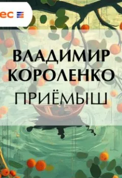 Аудиокнига - Приемыш. Владимир Короленко - слушать в Литвек