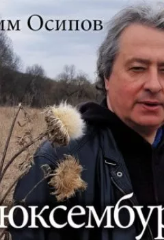 Аудиокнига - «Люксембург» и другие русские истории. Максим Осипов - слушать в Литвек