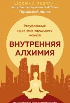 Аудиокнига - Внутренняя алхимия. Педрам Шоджай - слушать в Литвек
