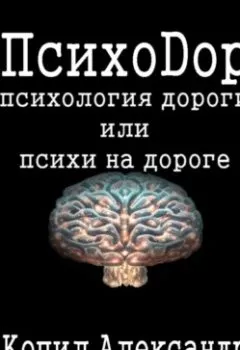 Книга - ПсихоДор. Александр Копил - прослушать в Литвек