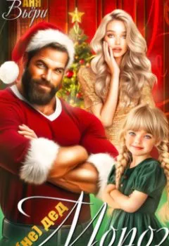 Аудиокнига - (Не) Дед Мороз для Мамы. Аня Вьёри - слушать в Литвек