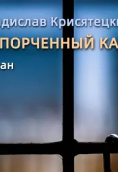 Аудиокнига - Испорченный кадр. Владислав Крисятецкий - слушать в Литвек