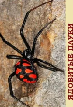 Аудиокнига - Ядовитые пауки. Валерий Жиглов - слушать в Литвек