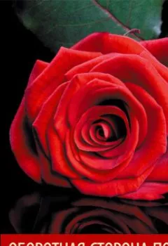 Аудиокнига - Оборотная сторона полуночи. Сидни Шелдон - слушать в Литвек