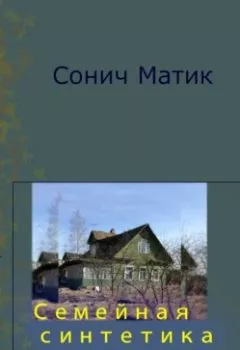 Аудиокнига - Семейная синтетика. Сонич Матик - слушать в Литвек