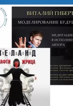 Аудиокнига - Моделирование будущего + Тафти жрица. Гуляние живьем в кинокартине. Вадим Зеланд - слушать в Литвек