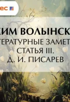 Аудиокнига - Литературные заметки. Статья III. Д. И. Писарев. Аким Волынский - слушать в Литвек