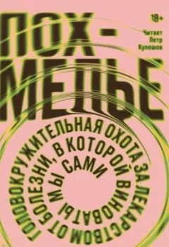 Обложка книги - Похмелье. Головокружительная охота за лекарством от болезни, в которой виноваты мы сами - Шонесси Бишоп-Столл