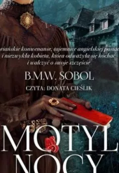Книга - Motyl Nocy. B.M.W. Sobol - прослушать в Литвек