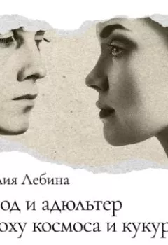 Аудиокнига - Развод и адюльтер в эпоху космоса и кукурузы. Наталья Лебина - слушать в Литвек