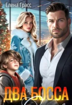 Аудиокнига - Два босса для Снегурочки. Елена Грасс - слушать в Литвек