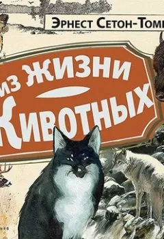 Аудиокнига - Из жизни животных. Эрнест Сетон-Томпсон - слушать в Литвек