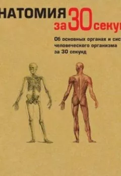 Обложка книги - Анатомия за 30 секунд - Коллектив авторов