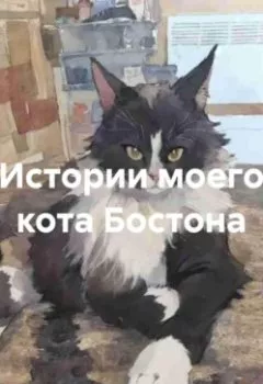 Аудиокнига - Истории моего кота Бостона. Илья Струк - слушать в Литвек