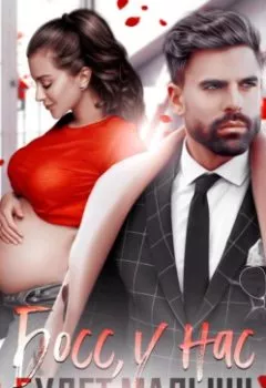 Аудиокнига - Босс, у нас будет малыш!. Виктория Вишневская - слушать в Литвек