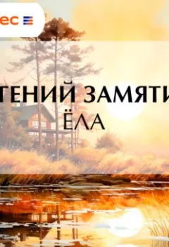 Аудиокнига - Ёла. Евгений Замятин - слушать в Литвек