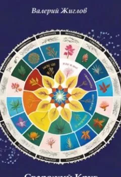 Обложка книги - Сварожий Круг древних славян - Валерий Жиглов