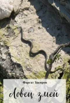Обложка книги - Ловец змей - Фаргат Закиров